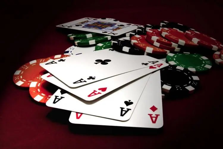saovip Cá Cược